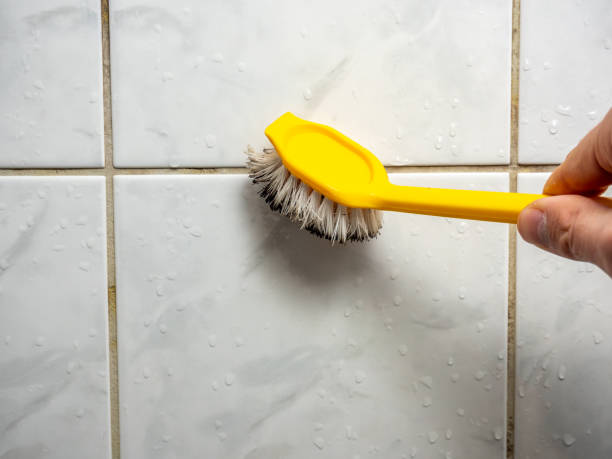Reliable Thousand Oaks, CA Mold Removal Solutions