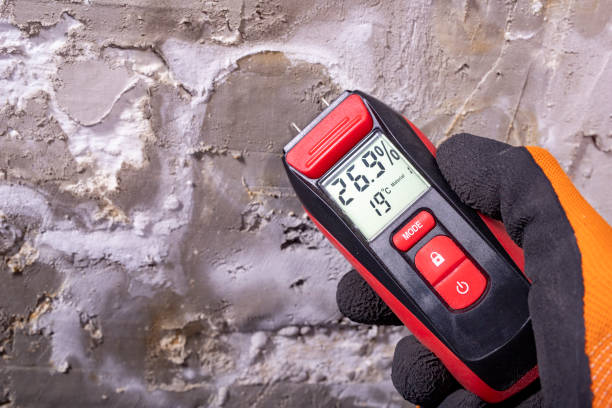 Crawl Space Mold Removal in Thousand Oaks, CA
