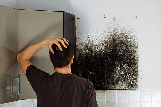 Best Crawl Space Mold Removal  in Thousand Oaks, CA